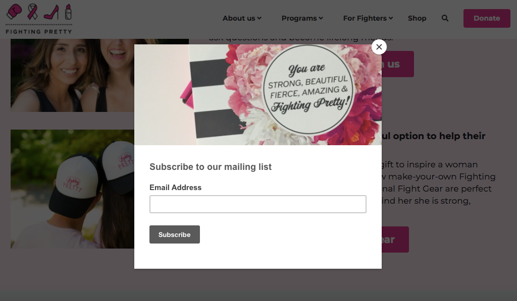 subscription form on a Strikingly user's website subscription form on a Strikingly user's website